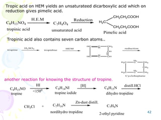 Trifidine ALKALOIDS- A Class of Secondary Metabolites.ppt