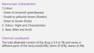 Macroscopic characteristics:
1.Colour:
• Green to brownish green(leaves)
• Purple to yellowish brown (flowers)
• Green to brown (fruits)
2. Odour: Slight and Characteristics
3. Taste: Bitter and Acrid
Chemical constituents:
The total alkaloidal content of the drug is 0.4 to 1% and varies in
different parts of the land,roots(0.6%), stems (0.05%), leaves (0.4%)
 