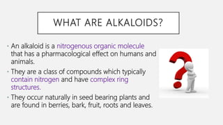 WHAT ARE ALKALOIDS?
• An alkaloid is a nitrogenous organic molecule
that has a pharmacological effect on humans and
animals.
• They are a class of compounds which typically
contain nitrogen and have complex ring
structures.
• They occur naturally in seed bearing plants and
are found in berries, bark, fruit, roots and leaves.
 