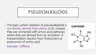 PSEUDOALKALOIDS
• The basic carbon skeleton of pseudoalkaloids is
not directly derived from amino acids; instead,
they are connected with amino acid pathways
where they are derived from by amination or
transamination reaction from forerunners or
postcursors of amino acid.
• Example: Caffeine.
 