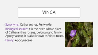 VINCA
• Synonyms: Catharanthus, Periwinkle
• Biological source: It is the dried whole plant
of Catharanthus roseus, belonging to family
Apocynaceae. It is also known as Vinca rosea.
• Family: Apocynaceae
 