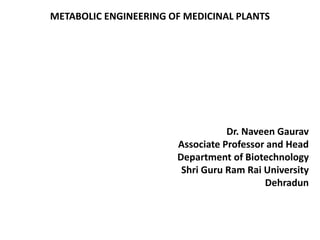 METABOLIC ENGINEERING OF MEDICINAL PLANTS
Dr. Naveen Gaurav
Associate Professor and Head
Department of Biotechnology
Shri Guru Ram Rai University
Dehradun
 
