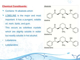 Alkaloids by pooja final sem 6 | PPTX