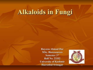 Alkaloids in Fungi




        Rayeess Ahmad Dar
         MSc. Bioresources
           Semester 3rd
          Roll No. 23352
       University of Kashmir
        Hazratbal Srinagar
 
