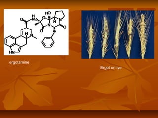 ergotamine
             Ergot on rye
 