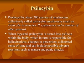 Psilocybin
   Produced by about 200 species of mushrooms
    collectively called psilocybin mushrooms (such as
    Psilocybe azurescens, P. cyanescens and a number of
    other genera).
   When ingested, psilocybin is turned into psilocin
    within the body, which in turn is responsible for
    hallucinations, changes in perception, a distorted
    sense of time and can include possible adverse
    reactions such as nausea and panic attacks.
 