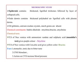 MICROSCOPIC STUDY
Epidermis contains thickened, lignified trichomes followed by layer of
collapsed cells.
Endo dermis contains thickened polyhedral un- lignified cells with plasma
derma.
Oil globules, calcium oxalate crystals, starch grains are absent
Chemical constituents: Indole alkaloids –strychine,brucine ,strychnine
Chemical tests:
T.S of Nux vomica with ammonium vandate and sulphuric acid (manddin’s
test) gives purple colour – Strychine
T.S of Nux vomica with Con,nitic acid gives yellow color- Brucine.
Uses:1.stomachic ,tonic due to bitter taste
2.CNS Stimulant ,
3.Action on CVS increase blood pressure
MICROSCOPIC STUDY
Epidermis contains thickened, lignified trichomes followed by layer of
collapsed cells.
Endo dermis contains thickened polyhedral un- lignified cells with plasma
derma.
Oil globules, calcium oxalate crystals, starch grains are absent
Chemical constituents: Indole alkaloids –strychine,brucine ,strychnine
Chemical tests:
T.S of Nux vomica with ammonium vandate and sulphuric acid (manddin’s
test) gives purple colour – Strychine
T.S of Nux vomica with Con,nitic acid gives yellow color- Brucine.
Uses:1.stomachic ,tonic due to bitter taste
2.CNS Stimulant ,
3.Action on CVS increase blood pressure
 