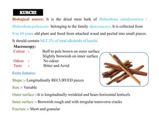 Biological source: It is the dried stem bark of Holarrhena antidysentrica /
Holarrhena pubescens belonging to the family Apocynacece. It is collected from
8 to 10 years old plant and freed from attached wood and peeled into small pieces.
It should contain NLT 2% of total alkaloids of kurchi
Macroscopy:
Colour - Buff to pale brown on outer surface
Slightly brownish on inner surface
Odour - No odour
Taste - Bitter and Acrid
Macroscopy:
Colour - Buff to pale brown on outer surface
Slightly brownish on inner surface
Odour - No odour
Taste - Bitter and Acrid
Extra features:
Shape :- Longitudinally RECURVED pieces
Size :- Variable
Outer surface :-It is longitudinally wrinkled and bears horizontal lenticels
Inner surface :- Brownish rough and with irregular transverse cracks
Fracture :- Short and granular
 