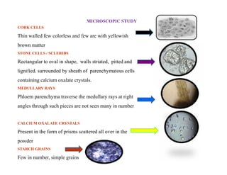 MICROSCOPIC STUDY
CORK CELLS
Thin walled few colorless and few are with yellowish
brown matter
STONE CELLS / SCLERIDS
Rectangular to oval in shape, walls striated, pitted and
lignified. surrounded by sheath of parenchymatous cells
containing calcium oxalate crystals.
MEDULLARY RAYS
Phloem parenchyma traverse the medullary rays at right
angles through such pieces are not seen many in number
CALCIUM OXALATE CRYSTALS
Present in the form of prisms scattered all over in the
powder
STARCH GRAINS
Few in number, simple grains
CORK CELLS
Thin walled few colorless and few are with yellowish
brown matter
STONE CELLS / SCLERIDS
Rectangular to oval in shape, walls striated, pitted and
lignified. surrounded by sheath of parenchymatous cells
containing calcium oxalate crystals.
MEDULLARY RAYS
Phloem parenchyma traverse the medullary rays at right
angles through such pieces are not seen many in number
CALCIUM OXALATE CRYSTALS
Present in the form of prisms scattered all over in the
powder
STARCH GRAINS
Few in number, simple grains
 