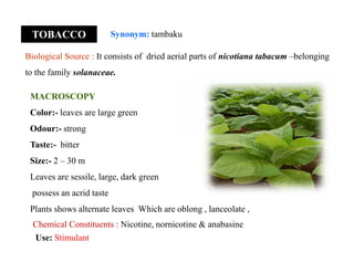TOBACCO Synonym: tambaku
Biological Source : It consists of dried aerial parts of nicotiana tabacum –belonging
to the family solanaceae.
MACROSCOPY
Color:- leaves are large green
Odour:- strong
Taste:- bitter
Size:- 2 – 30 m
Leaves are sessile, large, dark green
possess an acrid taste
Plants shows alternate leaves Which are oblong , lanceolate ,
MACROSCOPY
Color:- leaves are large green
Odour:- strong
Taste:- bitter
Size:- 2 – 30 m
Leaves are sessile, large, dark green
possess an acrid taste
Plants shows alternate leaves Which are oblong , lanceolate ,
Chemical Constituents : Nicotine, nornicotine & anabasine
Use: Stimulant
 