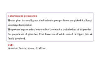 Collection and preparation
The tea plant is a small green shrub wherein younger leaves are picked & allowed
to undergo fermentation
The process imparts a dark brown or black colour & a typical odour of tea powder
For preparation of green tea, fresh leaves are dried & roasted in copper pans &
finally powdered.
Collection and preparation
The tea plant is a small green shrub wherein younger leaves are picked & allowed
to undergo fermentation
The process imparts a dark brown or black colour & a typical odour of tea powder
For preparation of green tea, fresh leaves are dried & roasted in copper pans &
finally powdered.
USE:
Stimulant, diuretic, source of caffeine
 