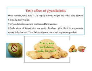 Toxic effects of glycoalkaloids
For humans, toxic dose is 2-5 mg/kg of body weight and lethal dose between
3-6 mg/kg body weight
Glycoalkaloids cause gut mucosa and liver damage
Early signs of intoxication are colic, diarrhoea with blood in excrements,
apathy, halucinations. Then follow seizures, coma and respiration paralysis
 