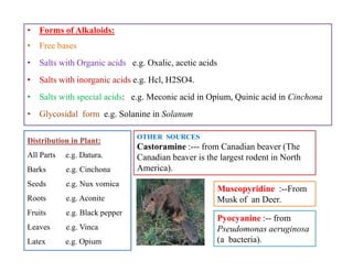 • Forms of Alkaloids:
• Free bases
• Salts with Organic acids e.g. Oxalic, acetic acids
• Salts with inorganic acids e.g. Hcl, H2SO4.
• Salts with special acids: e.g. Meconic acid in Opium, Quinic acid in Cinchona
• Glycosidal form e.g. Solanine in Solanum
Distribution in Plant:
All Parts e.g. Datura.
Barks e.g. Cinchona
Seeds e.g. Nux vomica
Roots e.g. Aconite
Fruits e.g. Black pepper
Leaves e.g. Vinca
Latex e.g. Opium
OTHER SOURCES
Castoramine :--- from Canadian beaver (The
Canadian beaver is the largest rodent in North
America).
• Forms of Alkaloids:
• Free bases
• Salts with Organic acids e.g. Oxalic, acetic acids
• Salts with inorganic acids e.g. Hcl, H2SO4.
• Salts with special acids: e.g. Meconic acid in Opium, Quinic acid in Cinchona
• Glycosidal form e.g. Solanine in Solanum
Distribution in Plant:
All Parts e.g. Datura.
Barks e.g. Cinchona
Seeds e.g. Nux vomica
Roots e.g. Aconite
Fruits e.g. Black pepper
Leaves e.g. Vinca
Latex e.g. Opium
OTHER SOURCES
Castoramine :--- from Canadian beaver (The
Canadian beaver is the largest rodent in North
America).
Pyocyanine :-- from
Pseudomonas aeruginosa
(a bacteria).
Muscopyridine :--From
Musk of an Deer.
 