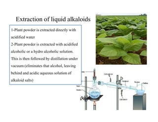 Extraction of liquid alkaloids
1-Plant powder is extracted directly with
acidified water
2-Plant powder is extracted with acidified
alcoholic or a hydro alcoholic solution.
This is then followed by distillation under
vacuum (eliminates that alcohol, leaving
behind and acidic aqueous solution of
alkaloid salts)
1-Plant powder is extracted directly with
acidified water
2-Plant powder is extracted with acidified
alcoholic or a hydro alcoholic solution.
This is then followed by distillation under
vacuum (eliminates that alcohol, leaving
behind and acidic aqueous solution of
alkaloid salts)
 
