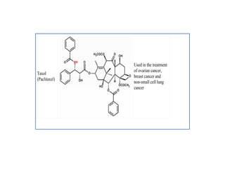 Taxol
(Paclitaxel)
Used in the treatment
of ovarian cancer,
breast cancer and
non-small cell lung
cancer
Taxol
(Paclitaxel)
Used in the treatment
of ovarian cancer,
breast cancer and
non-small cell lung
cancer
 