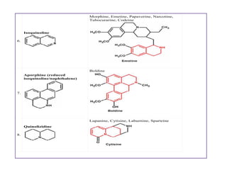 6.
Isoquinoline
Morphine, Emetine, Papaverine, Narcotine,
Tubocurarine, Codeine
7.
Aporphine (reduced
isoquinoline/naphthalene)
Boldine
8.
Quinolizidine
Lupanine, Cytisine, Laburnine, Sparteine
6.
Isoquinoline
Morphine, Emetine, Papaverine, Narcotine,
Tubocurarine, Codeine
7.
Aporphine (reduced
isoquinoline/naphthalene)
Boldine
8.
Quinolizidine
Lupanine, Cytisine, Laburnine, Sparteine
 