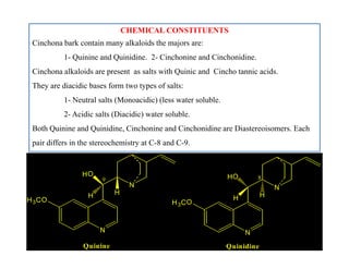 CHEMICAL CONSTITUENTS
Cinchona bark contain many alkaloids the majors are:
1- Quinine and Quinidine. 2- Cinchonine and Cinchonidine.
Cinchona alkaloids are present as salts with Quinic and Cincho tannic acids.
They are diacidic bases form two types of salts:
1- Neutral salts (Monoacidic) (less water soluble.
2- Acidic salts (Diacidic) water soluble.
Both Quinine and Quinidine, Cinchonine and Cinchonidine are Diastereoisomers. Each
pair differs in the stereochemistry at C-8 and C-9.
CHEMICAL CONSTITUENTS
Cinchona bark contain many alkaloids the majors are:
1- Quinine and Quinidine. 2- Cinchonine and Cinchonidine.
Cinchona alkaloids are present as salts with Quinic and Cincho tannic acids.
They are diacidic bases form two types of salts:
1- Neutral salts (Monoacidic) (less water soluble.
2- Acidic salts (Diacidic) water soluble.
Both Quinine and Quinidine, Cinchonine and Cinchonidine are Diastereoisomers. Each
pair differs in the stereochemistry at C-8 and C-9.
N
N
H3CO
HO
H H
N
N
H3CO
HO
H H
89
Quinine Quinidine
 