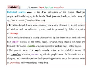 ERGOT
Biological source: ergot is the dried sclerotium of the fungus Claviceps
purpurea (Fries) belonging to the family Clavicipitaceae developed in the ovary of
rye, Secale cereale (Germinae/ Poaceae).
Ergot is a fungal disease very commonly and widely observed on a good number
of wild as well as cultivated grasses, and is produced by different species
of claviceps.
This particular disease is usually characterized by the formation of hard and seed
like ‘ergots’ in place of the normal seeds. However, these specific structures are
frequently termed as sclerotia, which represent the ‘resting stage’ of the fungus.
The generic name, ‘claviceps’, usually refers to the club-like nature of
the sclerotium, where as purpurea signifies its purple colour. As these sclerotia are
elongated and somewhat pointed in shape and appearance, hence the common name
of spurred rye has been assigned to the drug.
Synonyms: Ergot; Rye Ergot. spurred rye
Ergot is a fungal disease very commonly and widely observed on a good number
of wild as well as cultivated grasses, and is produced by different species
of claviceps.
This particular disease is usually characterized by the formation of hard and seed
like ‘ergots’ in place of the normal seeds. However, these specific structures are
frequently termed as sclerotia, which represent the ‘resting stage’ of the fungus.
The generic name, ‘claviceps’, usually refers to the club-like nature of
the sclerotium, where as purpurea signifies its purple colour. As these sclerotia are
elongated and somewhat pointed in shape and appearance, hence the common name
of spurred rye has been assigned to the drug.
 