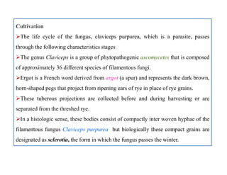 Cultivation
The life cycle of the fungus, claviceps purpurea, which is a parasite, passes
through the following characteristics stages
The genus Claviceps is a group of phytopathogenic ascomycetes that is composed
of approximately 36 different species of filamentous fungi.
Ergot is a French word derived from argot (a spur) and represents the dark brown,
horn-shaped pegs that project from ripening ears of rye in place of rye grains.
These tuberous projections are collected before and during harvesting or are
separated from the threshed rye.
In a histologic sense, these bodies consist of compactly inter woven hyphae of the
filamentous fungus Claviceps purpurea but biologically these compact grains are
designated as sclerotia, the form in which the fungus passes the winter.
Cultivation
The life cycle of the fungus, claviceps purpurea, which is a parasite, passes
through the following characteristics stages
The genus Claviceps is a group of phytopathogenic ascomycetes that is composed
of approximately 36 different species of filamentous fungi.
Ergot is a French word derived from argot (a spur) and represents the dark brown,
horn-shaped pegs that project from ripening ears of rye in place of rye grains.
These tuberous projections are collected before and during harvesting or are
separated from the threshed rye.
In a histologic sense, these bodies consist of compactly inter woven hyphae of the
filamentous fungus Claviceps purpurea but biologically these compact grains are
designated as sclerotia, the form in which the fungus passes the winter.
 