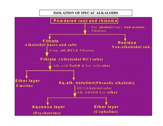 P o w d e re d ro o t a n d rh iz o m e
- E xt. a lco h o l,C o nc., lea d a ceta te.
- Filtratio n
F iltra te R e s id u e
N on -a lka loida l su b.
- E vap ., d il. H C l & Filtratio n
A lka loida l ba ses a n d sa lts
F iltra te (A lka loida l H C l sa lts)
- A lk . w ith N a O H & E xt. w ith eth er
E th e r la ye r
E m etin e
(P h en olic a lka loids)
- H C l (A lk alo id al salts)
- A lk . N H 4 O H E xt. eth er
A q u e o u s la ye r E th e r la ye r
(P sy ch otrin e) (C eph a lin e)
A q .a lk . s o lu tio n
ISOLATION OF IPECAC ALKALOIDS
P o w d e re d ro o t a n d rh iz o m e
- E xt. a lco h o l,C o nc., lea d a ceta te.
- Filtratio n
F iltra te R e s id u e
N on -a lka loida l su b.
- E vap ., d il. H C l & Filtratio n
A lka loida l ba ses a n d sa lts
F iltra te (A lka loida l H C l sa lts)
- A lk . w ith N a O H & E xt. w ith eth er
E th e r la ye r
E m etin e
(P h en olic a lka loids)
- H C l (A lk alo id al salts)
- A lk . N H 4 O H E xt. eth er
A q u e o u s la ye r E th e r la ye r
(P sy ch otrin e) (C eph a lin e)
A q .a lk . s o lu tio n
 