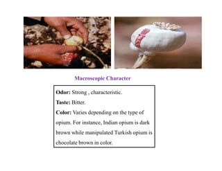 Macroscopic Character
Odor: Strong , characteristic.
Taste: Bitter.
Color: Varies depending on the type of
opium. For instance, Indian opium is dark
brown while manipulated Turkish opium is
chocolate brown in color.
 