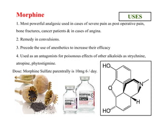 Morphine
1. Most powerful analgesic used in cases of severe pain as post operative pain,
bone fractures, cancer patients & in cases of angina.
2. Remedy in convulsions.
3. Precede the use of anesthetics to increase their efficacy
4. Used as an antagonists for poisonous effects of other alkaloids as strychnine,
atropine, phytostigmine.
USESMorphine
1. Most powerful analgesic used in cases of severe pain as post operative pain,
bone fractures, cancer patients & in cases of angina.
2. Remedy in convulsions.
3. Precede the use of anesthetics to increase their efficacy
4. Used as an antagonists for poisonous effects of other alkaloids as strychnine,
atropine, phytostigmine.
Dose: Morphine Sulfate parentrally is 10mg 6 / day.
 