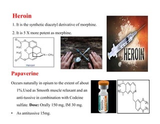 Heroin
1. It is the synthetic diacetyl derivative of morphine.
2. It is 5 X more potent as morphine.
Papaverine
Occurs naturally in opium to the extent of about
1%.Used as Smooth muscle relaxant and an
anti-tussive in combination with Codeine
sulfate. Dose: Orally 150 mg, IM 30 mg.
• As antitussive 15mg.
 