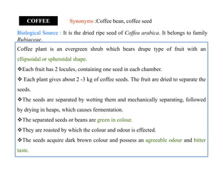 Synonyms :Coffee bean, coffee seedCOFFEE
Biological Source : It is the dried ripe seed of Coffea arabica. It belongs to family
Rubiaceae.
Coffee plant is an evergreen shrub which bears drupe type of fruit with an
ellipsoidal or spheroidal shape.
Each fruit has 2 locules, containing one seed in each chamber.
 Each plant gives about 2 -3 kg of coffee seeds. The fruit are dried to separate the
seeds.
The seeds are separated by wetting them and mechanically separating, followed
by drying in heaps, which causes fermentation.
The separated seeds or beans are green in colour.
They are roasted by which the colour and odour is effected.
The seeds acquire dark brown colour and possess an agreeable odour and bitter
taste.
Coffee plant is an evergreen shrub which bears drupe type of fruit with an
ellipsoidal or spheroidal shape.
Each fruit has 2 locules, containing one seed in each chamber.
 Each plant gives about 2 -3 kg of coffee seeds. The fruit are dried to separate the
seeds.
The seeds are separated by wetting them and mechanically separating, followed
by drying in heaps, which causes fermentation.
The separated seeds or beans are green in colour.
They are roasted by which the colour and odour is effected.
The seeds acquire dark brown colour and possess an agreeable odour and bitter
taste.
 