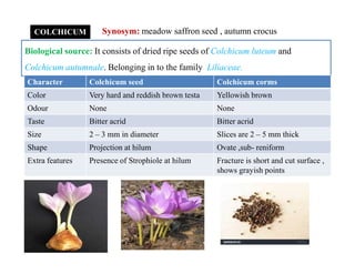COLCHICUM Synosym: meadow saffron seed , autumn crocus
Biological source: It consists of dried ripe seeds of Colchicum luteum and
Colchicum autumnale. Belonging in to the family Liliaceae.
Character Colchicum seed Colchicum corms
Color Very hard and reddish brown testa Yellowish brown
Odour None None
Taste Bitter acrid Bitter acrid
Size 2 – 3 mm in diameter Slices are 2 – 5 mm thickSize 2 – 3 mm in diameter Slices are 2 – 5 mm thick
Shape Projection at hilum Ovate ,sub- reniform
Extra features Presence of Strophiole at hilum Fracture is short and cut surface ,
shows grayish points
 