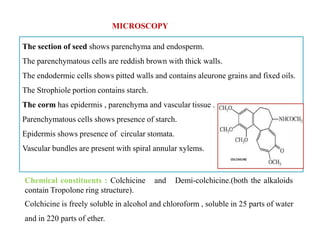 MICROSCOPY
The section of seed shows parenchyma and endosperm.
The parenchymatous cells are reddish brown with thick walls.
The endodermic cells shows pitted walls and contains aleurone grains and fixed oils.
The Strophiole portion contains starch.
The corm has epidermis , parenchyma and vascular tissue .
Parenchymatous cells shows presence of starch.
Epidermis shows presence of circular stomata.
Vascular bundles are present with spiral annular xylems.
The section of seed shows parenchyma and endosperm.
The parenchymatous cells are reddish brown with thick walls.
The endodermic cells shows pitted walls and contains aleurone grains and fixed oils.
The Strophiole portion contains starch.
The corm has epidermis , parenchyma and vascular tissue .
Parenchymatous cells shows presence of starch.
Epidermis shows presence of circular stomata.
Vascular bundles are present with spiral annular xylems.
Chemical constituents : Colchicine and Demi-colchicine.(both the alkaloids
contain Tropolone ring structure).
Colchicine is freely soluble in alcohol and chloroform , soluble in 25 parts of water
and in 220 parts of ether.
 