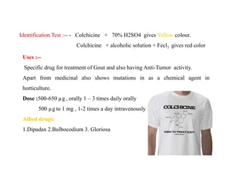 Identification Test :-- - Colchicine + 70% H2SO4 gives Yellow colour.
Colchicine + alcoholic solution + Fecl3 gives red color
Uses :--
Specific drug for treatment of Gout and also having Anti-Tumor activity.
Apart from medicinal also shows mutations in as a chemical agent in
horticulture.
Dose :500-650 µg , orally 1 – 3 times daily orally
500 µg to 1 mg , 1-2 times a day intravenously
Allied drugs:
1.Dipadax 2.Bulbocodium 3. Gloriosa
Uses :--
Specific drug for treatment of Gout and also having Anti-Tumor activity.
Apart from medicinal also shows mutations in as a chemical agent in
horticulture.
Dose :500-650 µg , orally 1 – 3 times daily orally
500 µg to 1 mg , 1-2 times a day intravenously
Allied drugs:
1.Dipadax 2.Bulbocodium 3. Gloriosa
 