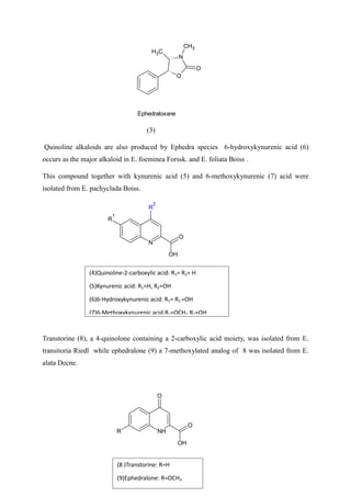 C
H3
O
N
O
CH3
Ephedraloxane
(3)
Quinoline alkaloids are also produced by Ephedra species 6-hydroxykynurenic acid (6)
occurs as the major alkaloid in E. foeminea Forssk. and E. foliata Boiss .
This compound together with kynurenic acid (5) and 6-methoxykynurenic (7) acid were
isolated from E. pachyclada Boiss.
N
R
2
R
1
O
OH
Transtorine (8), a 4-quinolone containing a 2-carboxylic acid moiety, was isolated from E.
transitoria Riedl while ephedralone (9) a 7-methoxylated analog of 8 was isolated from E.
alata Decne.
NH
O
OH
O
R
(4)Quinoline-2-carboxylic acid: R1= R2= H
(5)Kynurenic acid: R1=H, R2=OH
(6)6-Hydroxykynurenic acid: R1= R2 =OH
(7)6-Methoxykynurenic acid:R1=OCH3, R2=OH
(8 )Transtorine: R=H
(9)Ephedralone: R=OCH3
 