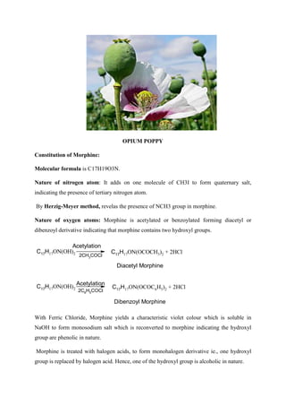 OPIUM POPPY
Constitution of Morphine:
Molecular formula is C17H19O3N.
Nature of nitrogen atom: It adds on one molecule of CH3I to form quaternary salt,
indicating the presence of tertiary nitrogen atom.
By Herzig-Meyer method, revelas the presence of NCH3 group in morphine.
Nature of oxygen atoms: Morphine is acetylated or benzoylated forming diacetyl or
dibenzoyl derivative indicating that morphine contains two hydroxyl groups.
C17H17ON(OH)2 C17H17ON(OCOCH3)2 + 2HCl
2CH3COCl
Acetylation
Diacetyl Morphine
C17H17ON(OH)2 C17H17ON(OCOC6H5)2 + 2HCl
Acetylation
2C6H5COCl
Dibenzoyl Morphine
With Ferric Chloride, Morphine yields a characteristic violet colour which is soluble in
NaOH to form monosodium salt which is reconverted to morphine indicating the hydroxyl
group are phenolic in nature.
Morphine is treated with halogen acids, to form monohalogen derivative ie., one hydroxyl
group is replaced by halogen acid. Hence, one of the hydroxyl group is alcoholic in nature.
 