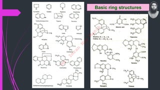 Basic ring structures
M
d
.
I
m
r
a
n
N
u
r
M
a
n
i
k
 