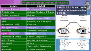 Pharmacological Action of Alkaloid
Activity Alkaloid
Analgesic & Narcotic Morphine and Codeine
CNS-stimulant Caffeine, Strychnine & Brucine
Cardiac depressant Qinidine
Mydriatic Atropine & Hematropine
Miotic Physostigmine, Pilocarpine
Hypertensive (BP) Ephedrine
Anti-Hypertensive Reserpine
Anti cancer Vincristine, Vinblastine
Myotic Pilocarpine
Antiamoebic & Emetic Emetine, Sanguinine
Anticholinergic Atropine, hyoscyamine
Antimalarial Quinine
Diuretic Theobromine, Theophylline
Antitussive Codeine, Noscapine
The alkaloids have a wide
range of pharmacological
actions:
M
d
.
I
m
r
a
n
N
u
r
M
a
n
i
k
 