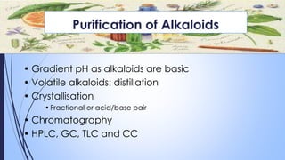 Purification of Alkaloids
• Gradient pH as alkaloids are basic
• Volatile alkaloids: distillation
• Crystallisation
•Fractional or acid/base pair
• Chromatography
• HPLC, GC, TLC and CC
 