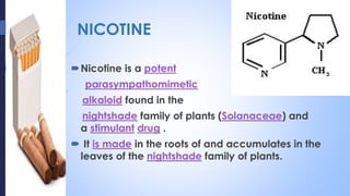 NICOTINE
Nicotine is a potent
parasympathomimetic
alkaloid found in the
nightshade family of plants (Solanaceae) and
a stimulant drug .
 It is made in the roots of and accumulates in the
leaves of the nightshade family of plants.
 