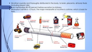  Nicotine is quickly and thoroughly distributed in the body, to brain, placenta, all body fluids
(including breast milk).
 Liver metabolizes 80–90 percent before excretion by kidneys.
 Elimination half-life is ~2 hours. The major metabolite of nicotine is cotinine, which is basis for
tests.
 