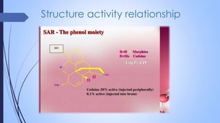 Structure activity relationship
 