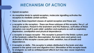 MECHANISM OF ACTION
 Opioid receptors
 As morphine binds to opioid receptors, molecular signalling activates the
receptors to mediate certain actions.
 There are three important classes of opioid receptors and these are:
 μ receptor or Mu receptors - There are three subtypes of this receptor, the μ1, μ2
and μ3 receptors. Present in the brainstem and the thalamus, activation of these
receptors can result in pain relief, sedation and euphoria as well as respiratory
depression, constipation and physical dependence.
 κ receptor or kappa receptor - This receptor is present in the limbic system, part
of the forebrain called the diencephalon, the brain stem and spinal cord.
Activation of this receptor causes pain relief, sedation, loss of breath and
dependence.
 δ receptor or delta - This receptor is widely distributed in the brain and also
present in the spinal cord and digestive tract. Stimulation of this receptor leads
to analgesic as well as antidepressant effects but may also cause respiratory
depression.
 