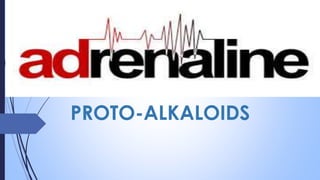 PROTO-ALKALOIDS
 