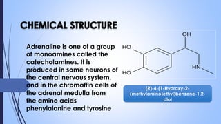 Adrenaline is one of a group
of monoamines called the
catecholamines. It is
produced in some neurons of
the central nervous system,
and in the chromaffin cells of
the adrenal medulla from
the amino acids
phenylalanine and tyrosine
(R)-4-(1-Hydroxy-2-
(methylamino)ethyl)benzene-1,2-
diol
 