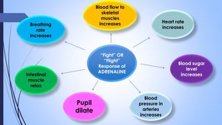 “Fight” OR
“Flight”
Response of
ADRENALINE
Blood flow to
skeletal
muscles
increases
Intestinal
muscle
relax
Breathing
rate
increases
Heart rate
increases
Pupil
dilate
Blood
pressure in
arteries
increases
Blood sugar
level
increases
 