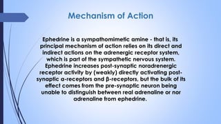 Mechanism of Action
Ephedrine is a sympathomimetic amine - that is, its
principal mechanism of action relies on its direct and
indirect actions on the adrenergic receptor system,
which is part of the sympathetic nervous system.
Ephedrine increases post-synaptic noradrenergic
receptor activity by (weakly) directly activating post-
synaptic α-receptors and β-receptors, but the bulk of its
effect comes from the pre-synaptic neuron being
unable to distinguish between real adrenaline or nor
adrenaline from ephedrine.
 