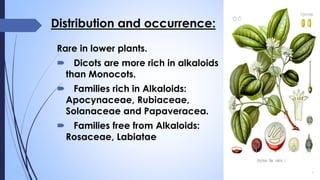 Distribution and occurrence:
Rare in lower plants.
 Dicots are more rich in alkaloids
than Monocots.
 Families rich in Alkaloids:
Apocynaceae, Rubiaceae,
Solanaceae and Papaveracea.
 Families free from Alkaloids:
Rosaceae, Labiatae
 