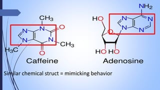 Similar chemical struct = mimicking behavior
 