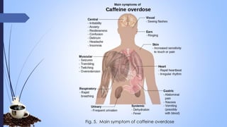 Fig. 5. Main symptom of caffeine overdose
 