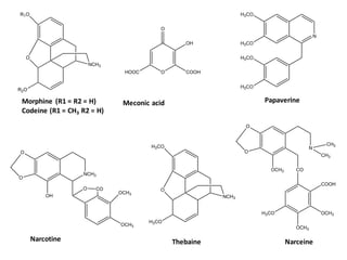 Alkaloids (Updated) (1).pdf