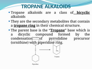 Tropane alkaloid_TROPANE_25by adeeba anjum prof Ru pharmacy.pptx
