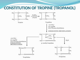 Trifidine alkaloid_TROPANE_25by adeeba anjum prof Ru pharmacy.pptx